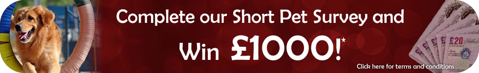 Win �1000 To Spend With Animal Bargains!